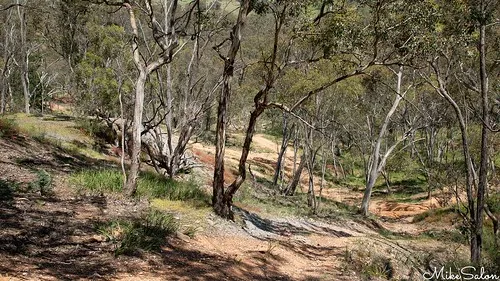 ophir-reserve-campground-ophir-echnh