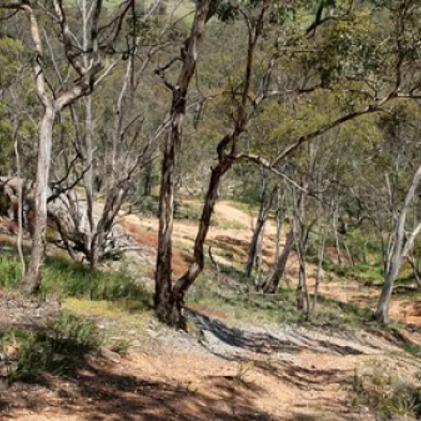 ophir-reserve-campground-ophir-echnh
