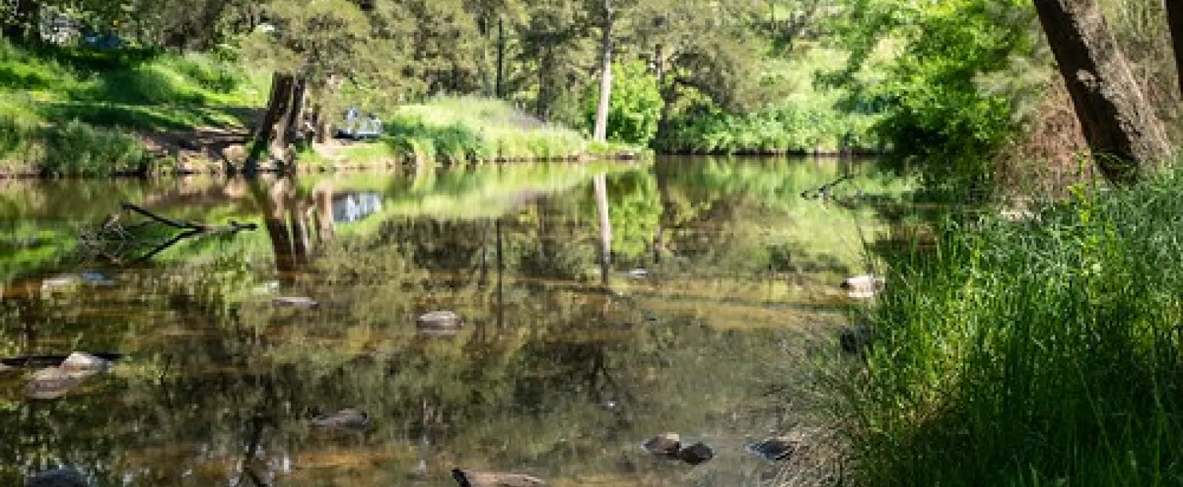 Ophir Reserve Campground