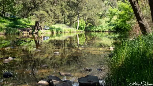ophir-reserve-campground-ophir-o6lda
