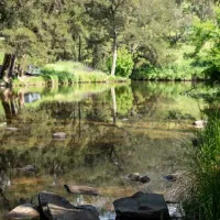 ophir-reserve-campground-ophir-o6lda