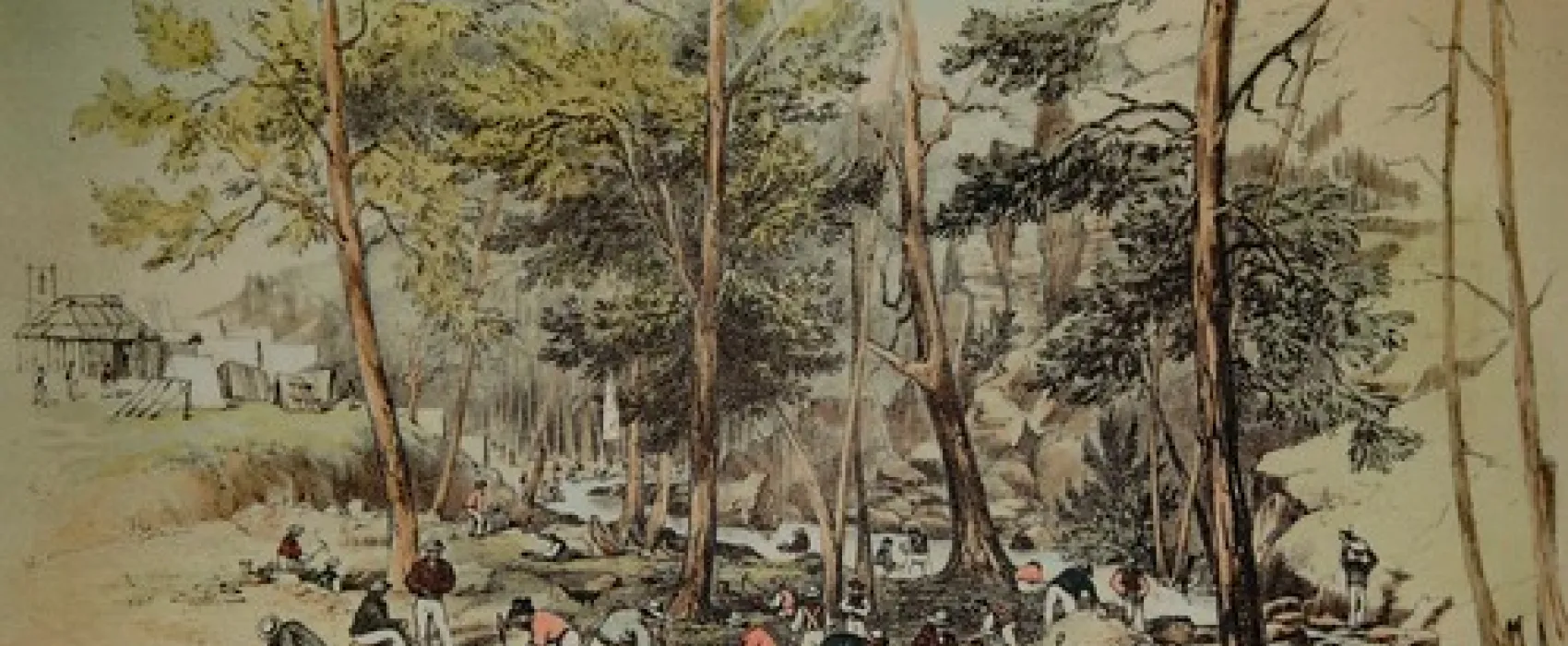 Ophir Reserve Campground