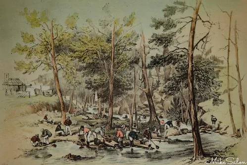 ophir-reserve-campground-ophir-tqmia