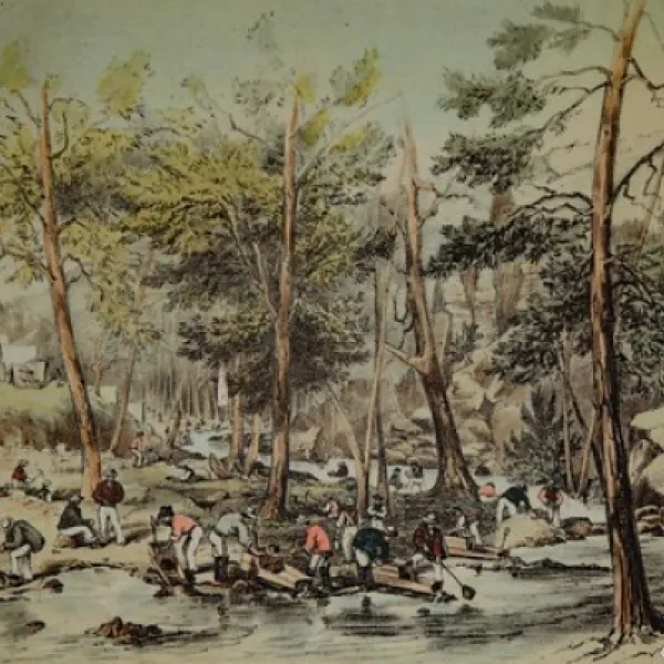 Ophir Reserve Campground