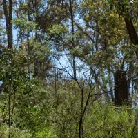 ophir-reserve-campground-ophir-xzfzo