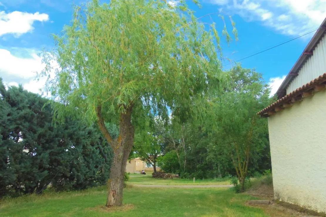 camping-rural-de-bardonnenche-roger-le-poet-jvjbi