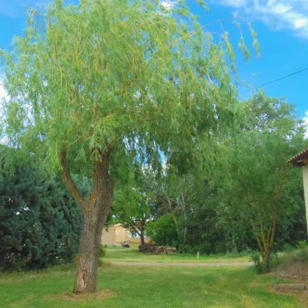 camping-rural-de-bardonnenche-roger-le-poet-jvjbi