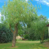 camping-rural-de-bardonnenche-roger-le-poet-jvjbi