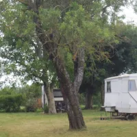 camping-rural-de-bardonnenche-roger-le-poet-root3
