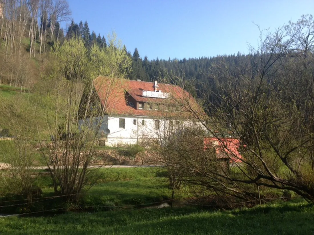 schwarzwald-fautsburg-bad-wildbad-pd7uz