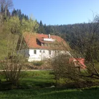 Schwarzwald Fautsburg