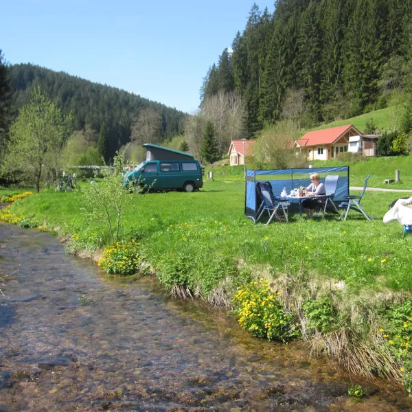 schwarzwald-fautsburg-bad-wildbad-snxf1
