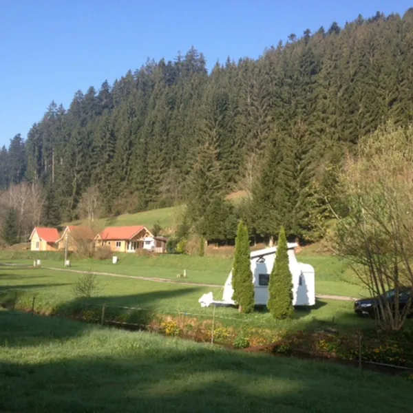 schwarzwald-fautsburg-bad-wildbad-t0fp8