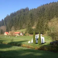 schwarzwald-fautsburg-bad-wildbad-t0fp8