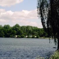 de-lievelinge-vuren-b02lo