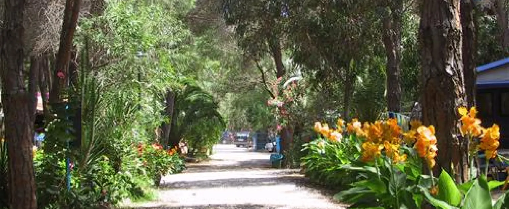 Selema