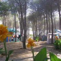 selema-santa-lucia-wsufu