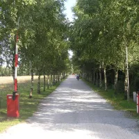de-lindenhof-chaletpark-wolfheze-hj5pb