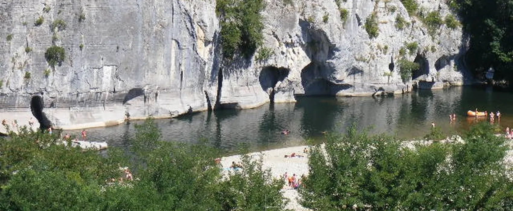 Les Actinidias