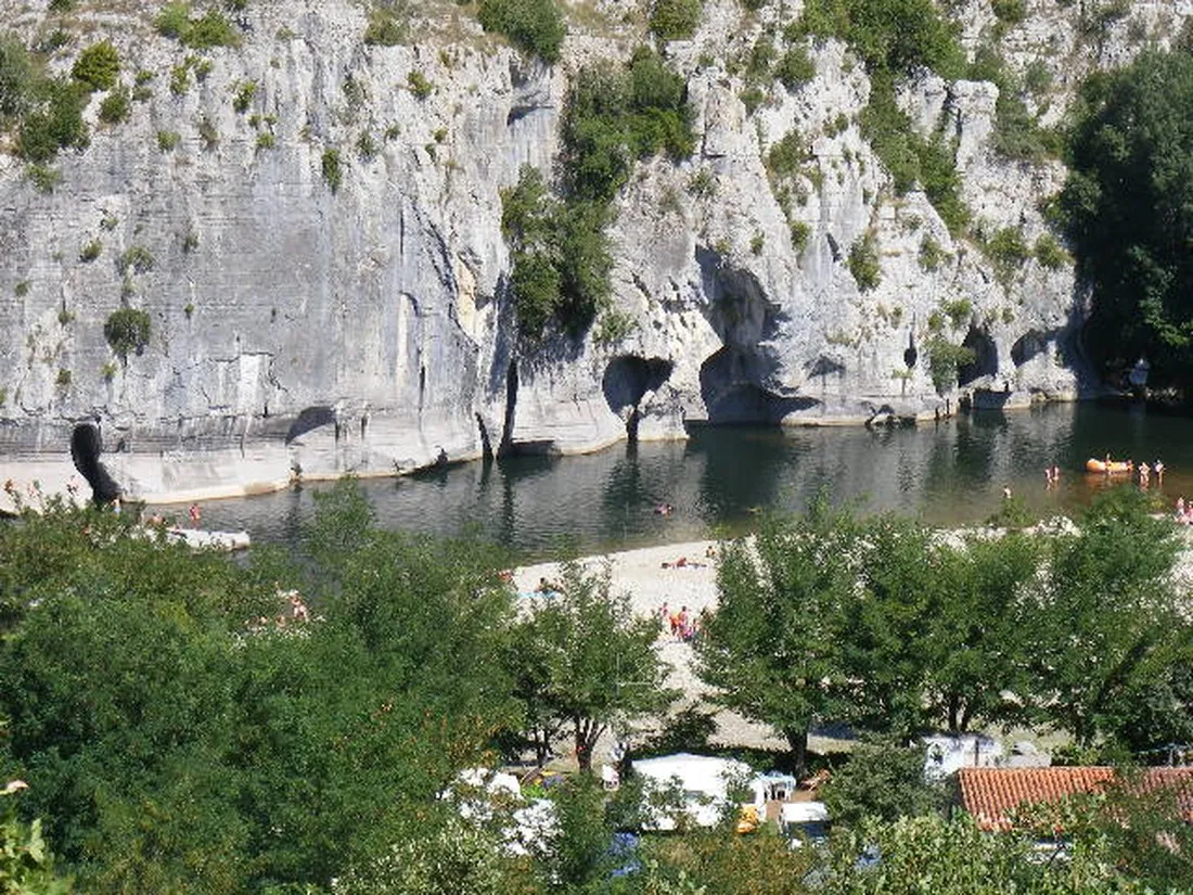 les-actinidias-frankrijk-ddxf6