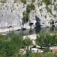 les-actinidias-frankrijk-ddxf6