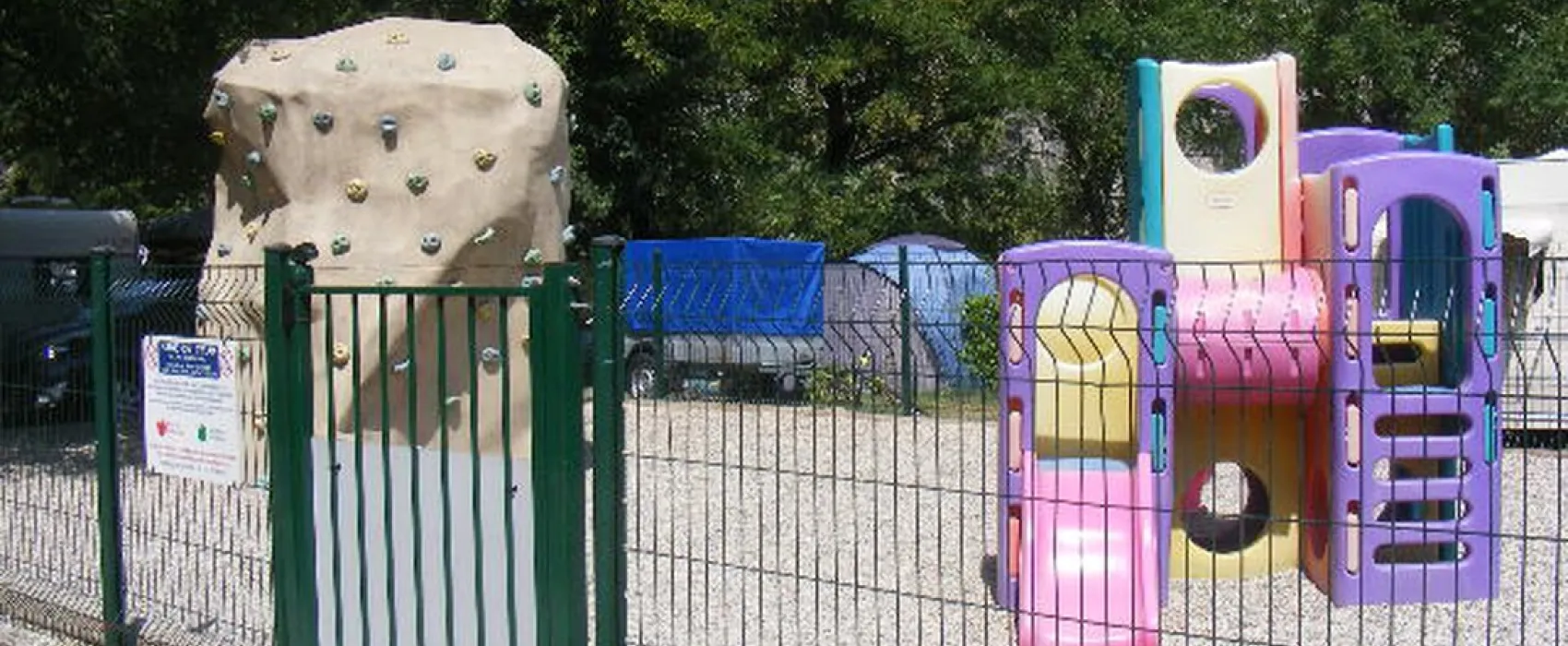 Les Actinidias