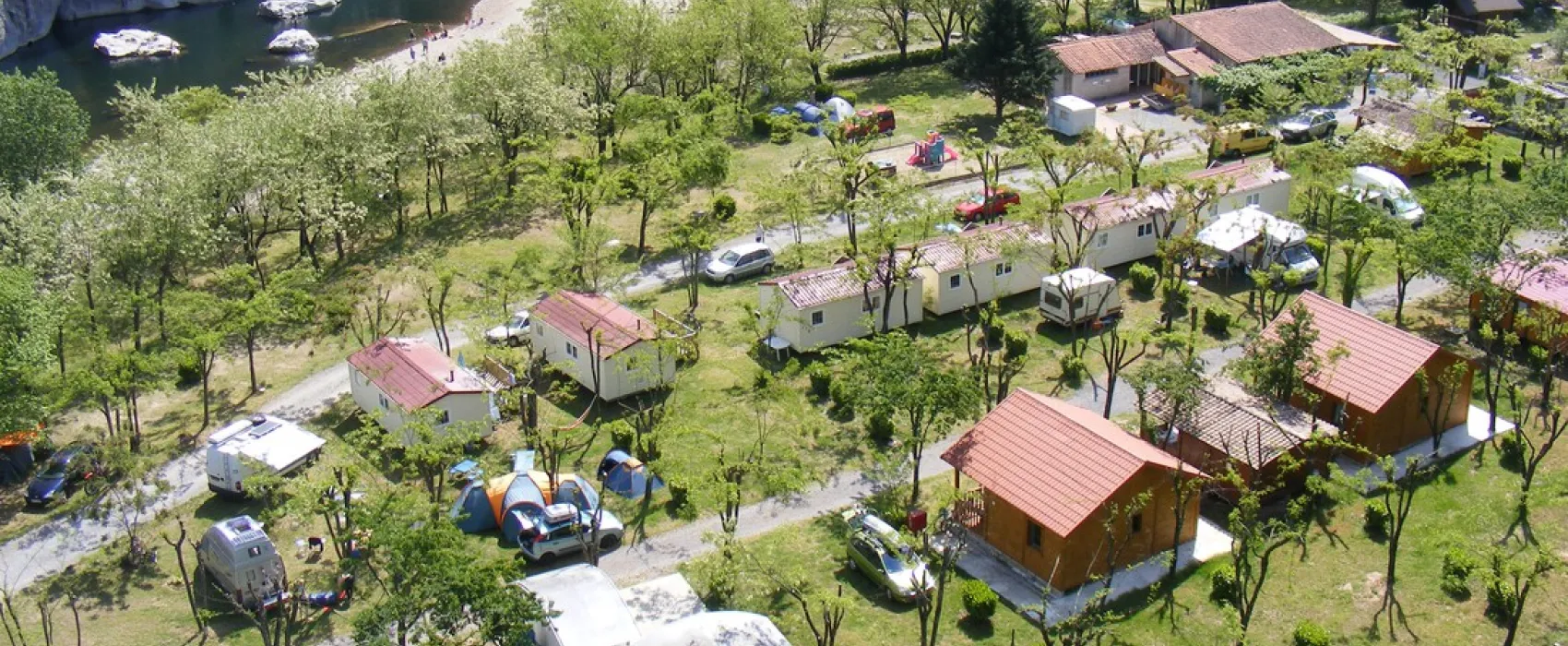 Les Actinidias