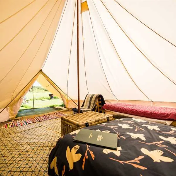 becks-bay-camping-and-glamping-tenby-fb0qc