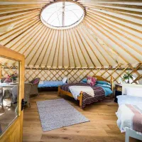 becks-bay-camping-and-glamping-tenby-vzrsf