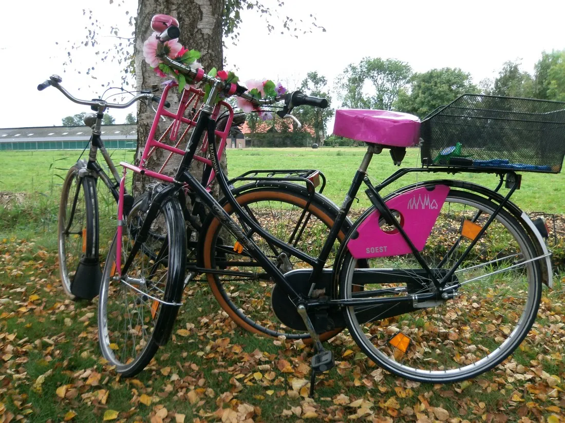 minicamping-onder-de-heerenbrug-giethoorn-fyjyc