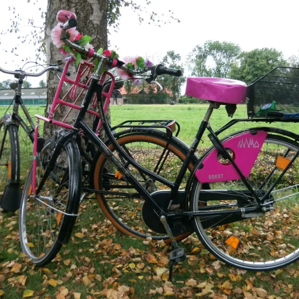 minicamping-onder-de-heerenbrug-giethoorn-fyjyc