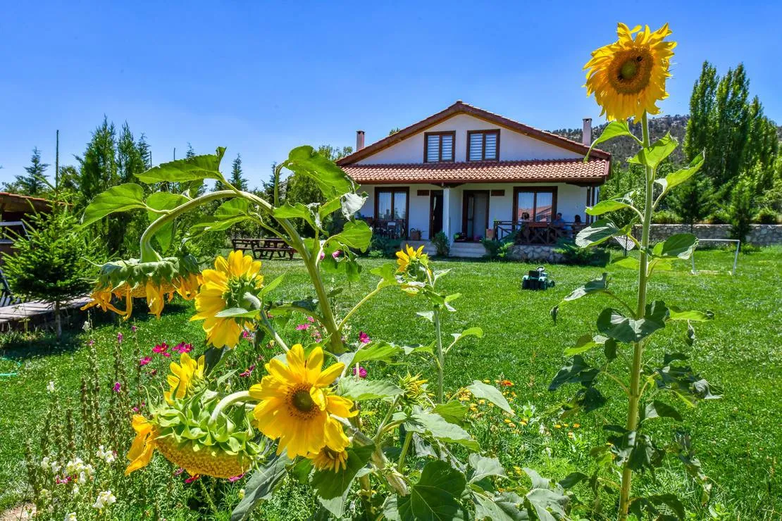 tefenni-villas-tefenni-uu5do