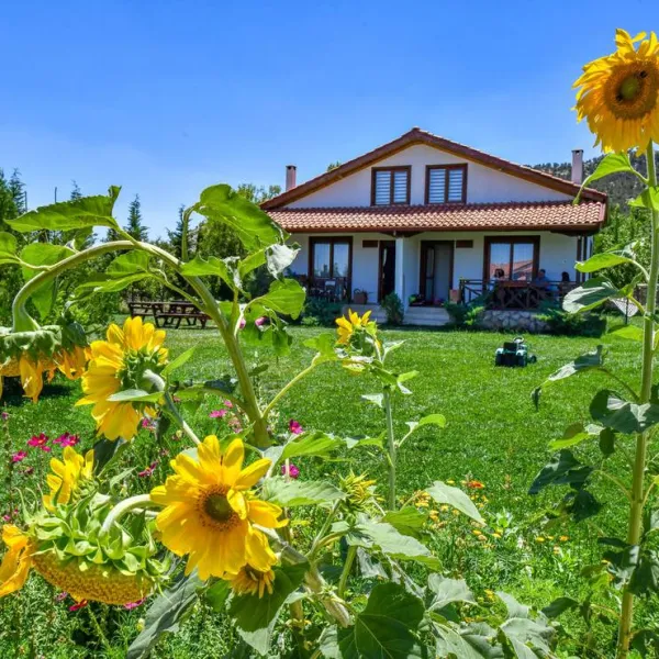 tefenni-villas-tefenni-uu5do