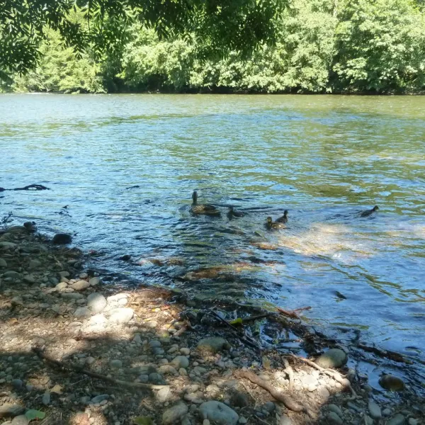 Huttopia Beaulieu sur Dordogne