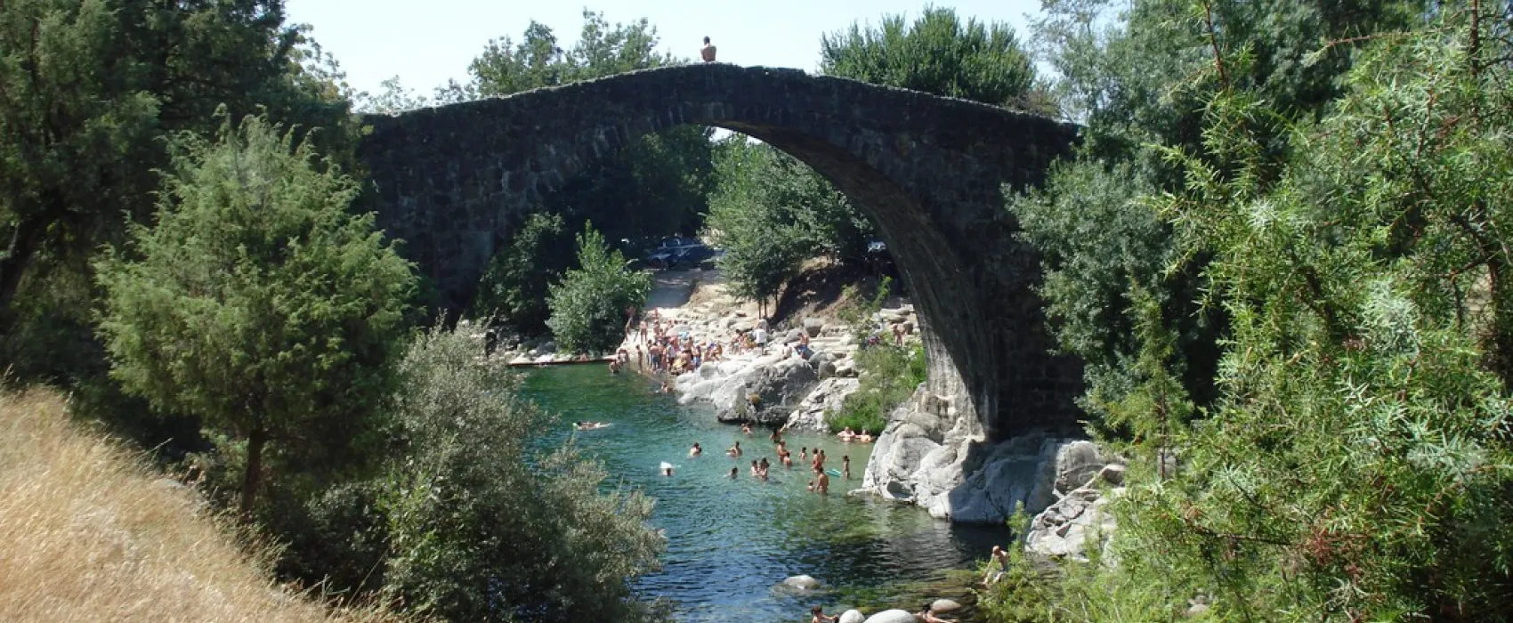 Alardos