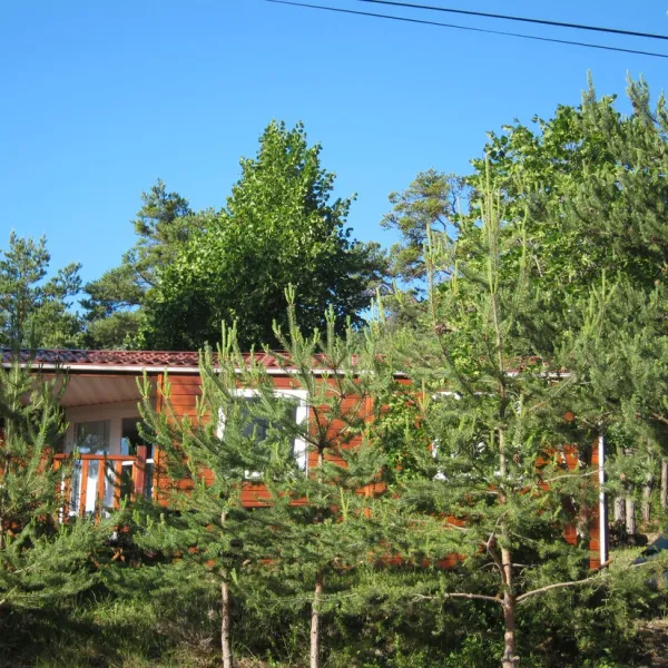 municipal-la-fontaine-reotier-nfxgw