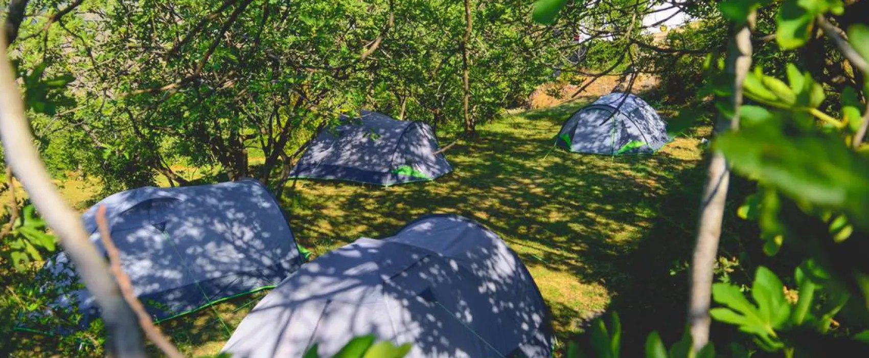 Camp Pod Ostrog