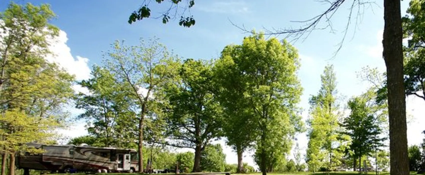 Chester Woods Park