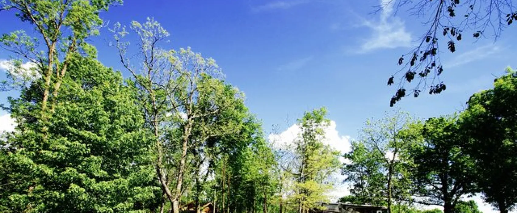 Chester Woods Park