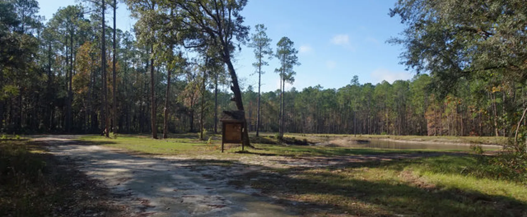 Wiggins Hunt Camp