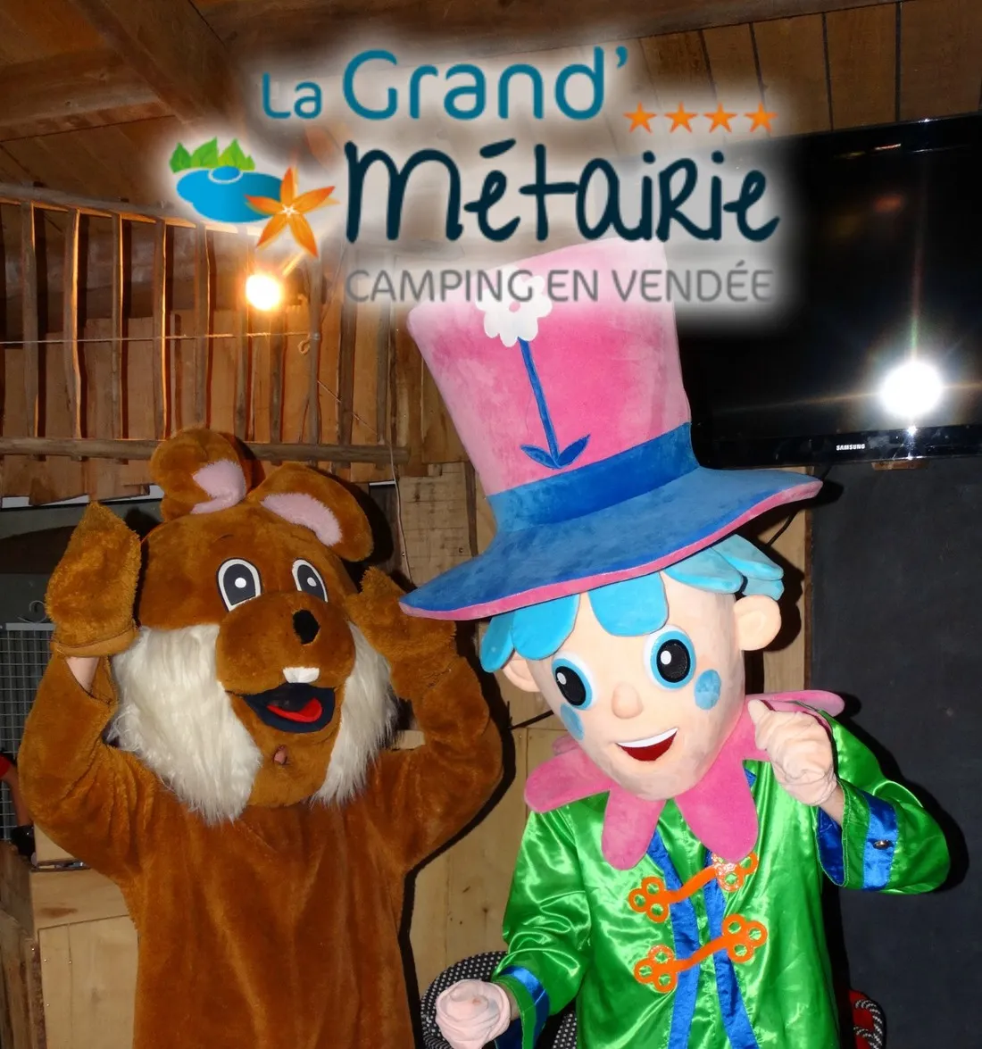la-grand-metairie-st-hilaire-la-foret-vendee-maibt