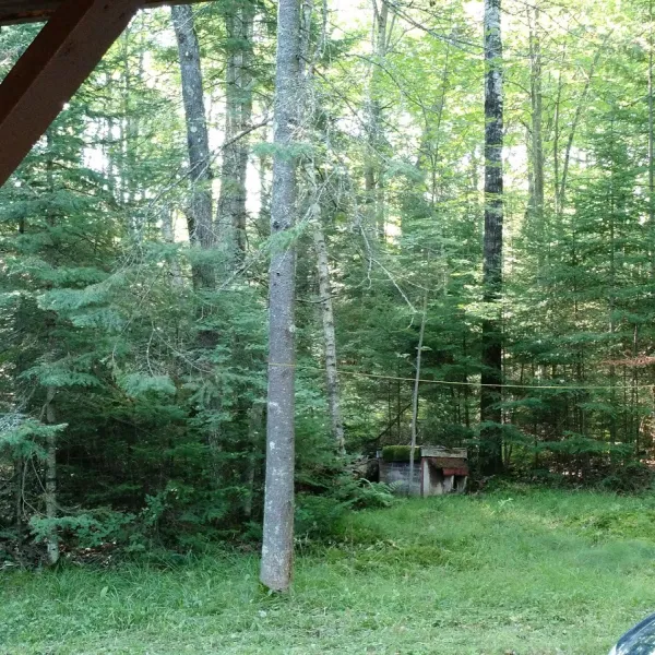 pelican-lake-campground-pelican-lake-gvprm