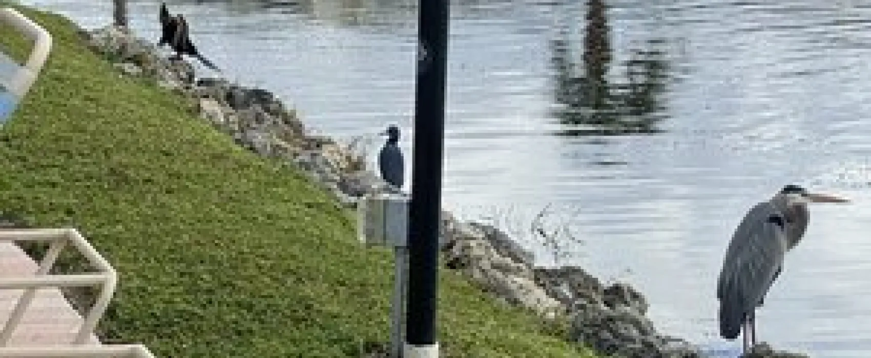 Winter Quarters Manatee RV Resort