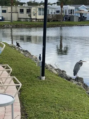 winter-quarters-manatee-rv-resort-bradenton-l19me