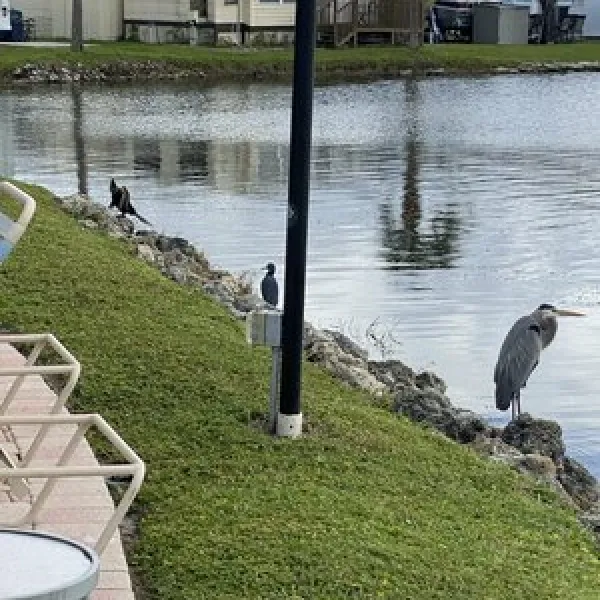 winter-quarters-manatee-rv-resort-bradenton-l19me
