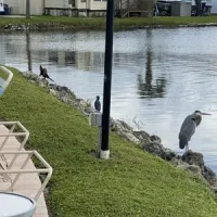 winter-quarters-manatee-rv-resort-bradenton-l19me