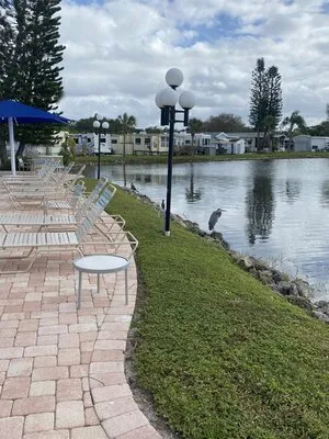 winter-quarters-manatee-rv-resort-bradenton-rclbt