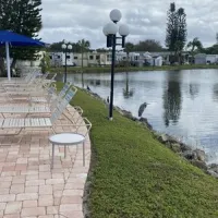 winter-quarters-manatee-rv-resort-bradenton-rclbt