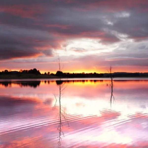 carcoar-dam-campground-carcoar-zstnd