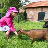 de-goede-weide-recreatie-oude-willem-bij-diever-lopgr